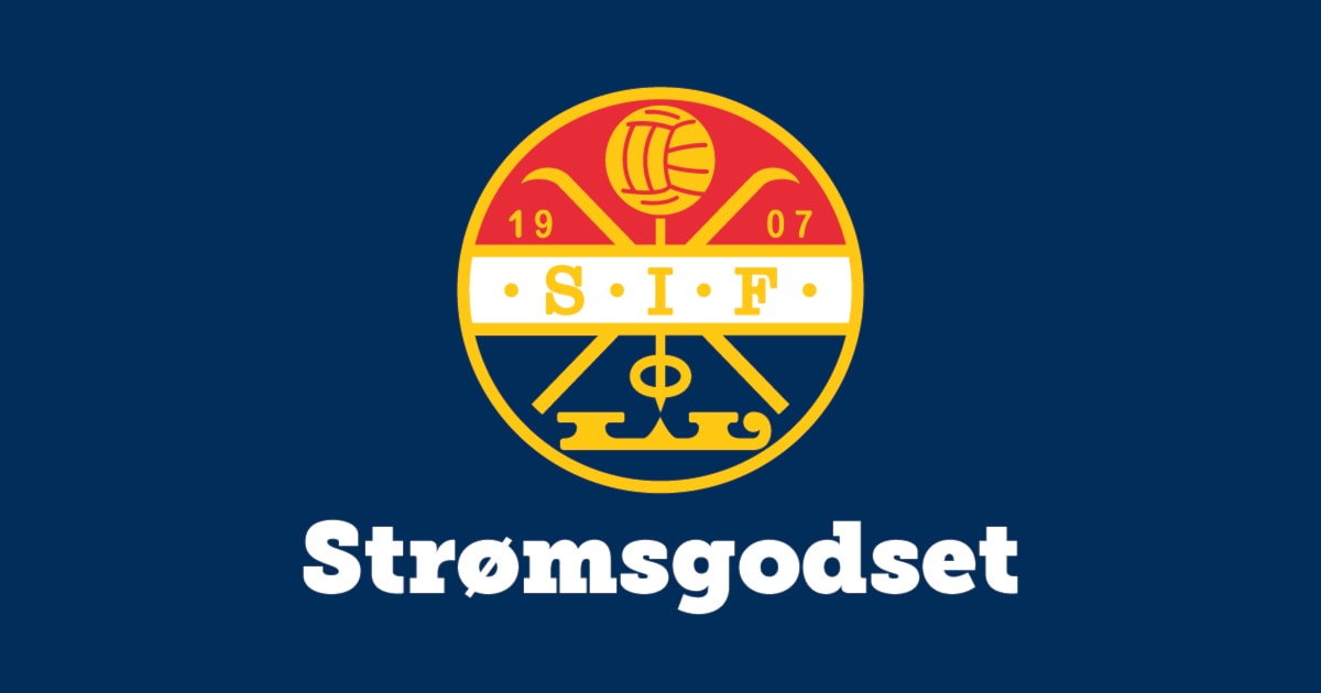 Sakspapirer - Årsmøte - 2024
